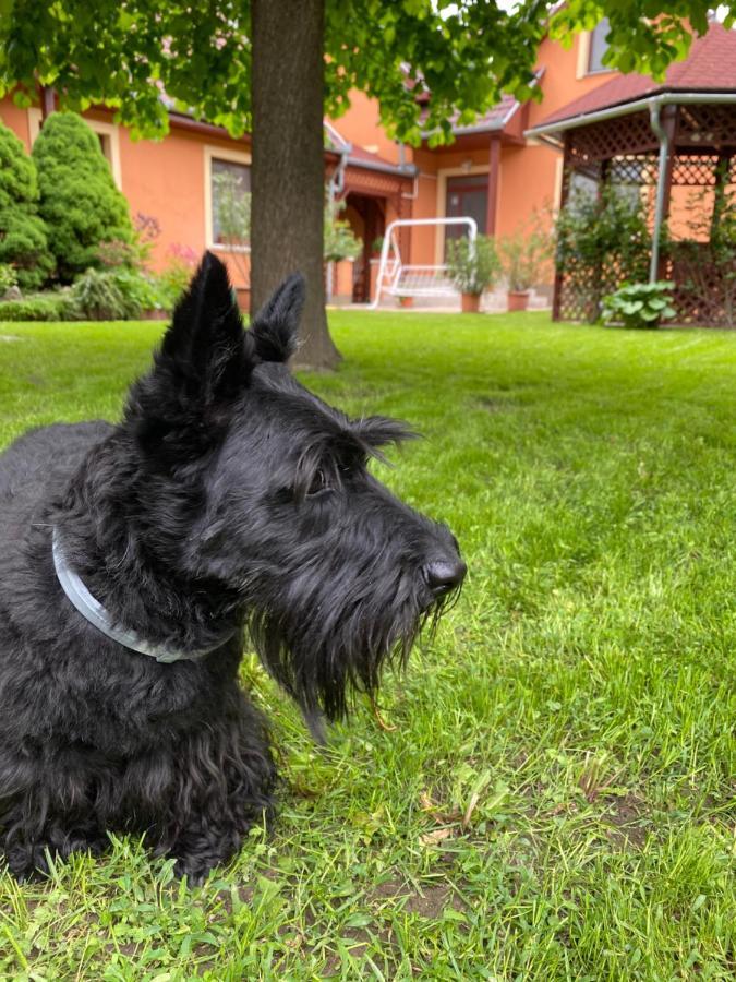 Apartman Dora Hajdúszoboszló 外观 照片