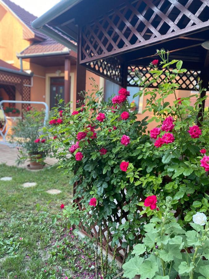 Apartman Dora Hajdúszoboszló 外观 照片